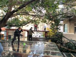 1673426279037072537.jpg image004.jpg